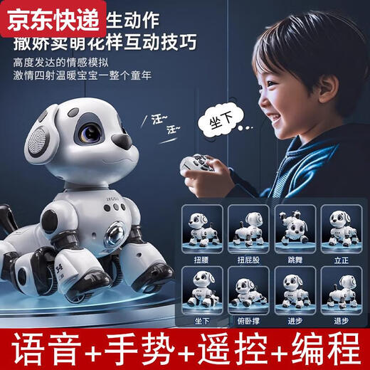 Qilicai 2025 Robot inteligente Dog Children Toys Boy Electric Remote Control Robot Música Música Cumpleaños Actualización de regalo Versión de la versión de litio único - Actualización Número grande