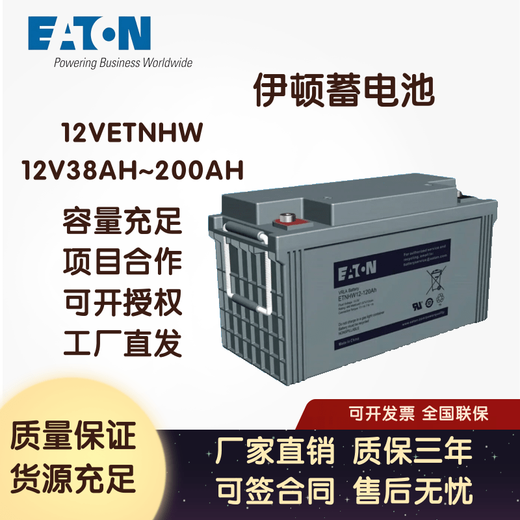 Eaton UPS battery ETNHW12V38Ah/65A/100A/120A/150A/200AH communication room other products contact customer service