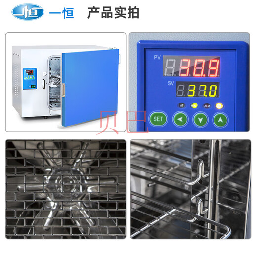Shanghai Yiheng DHP-9012/9032 Électrique-thermique Température constante Incubateur Microbial Laboratory Seed Germination Culture DHP-9272
