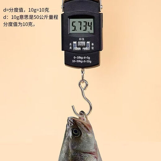 Electronic scale portable high-precision household weighing 150 Jin Jin is equal to 0.5 kg Mini spring scale high standard electronic scale accurate can weigh 50 Jin Jin is equal to 0.5 kg + battery