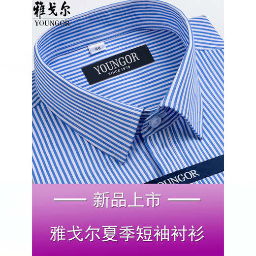 CEO雅戈尔短袖衬衫男士夏季商务休闲职业正装棉免烫中年大码条纹衬衣 短袖DX6624 38