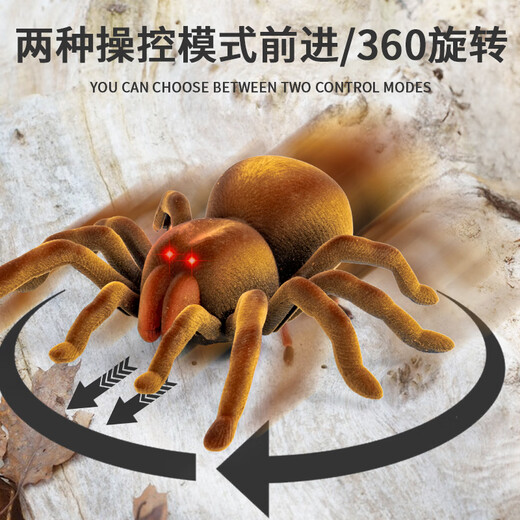 Genius Beibei (tianibebei) Grande télécommande araignée luxueuse réelle modèle pour enfants Pénérale électronique Prank effrayant jouet électrique Gift Crawling Gift Induction Spider-Brown 9902B + Tournevis Norme officielle Standard