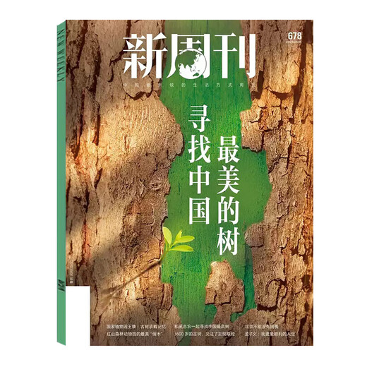 寻找中国美的树】新周刊杂志2025年3月上第05期总第678期 新闻评论社会热点时事观察经济动态 单本 【2025年3月上5期】寻找中国最美的树