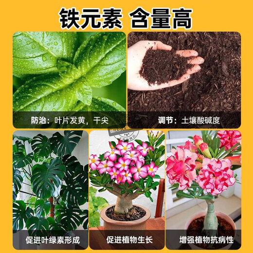 Intelligent green ferrous sulfate flower fertilizer acid-loving plant gardenia camellia azalea azalea osmanthus water-soluble fertilizer anti-yellow leaf household fertilizer ferrous sulfate barrel 5Jin Jin equals 0.5 kg
