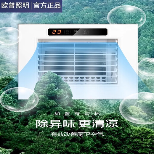 OPPLE Liangba integrated ceiling embedded kitchen aluminum gusset bathroom cooling fan 300x300 cooling fan classic grid direct blowing white ball motor