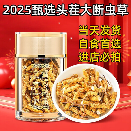 虫草断草高海拔冬虫夏草断虫草正品断草自用冬虫夏草泡酒补品药材 藏区精品大号断虫草20克装