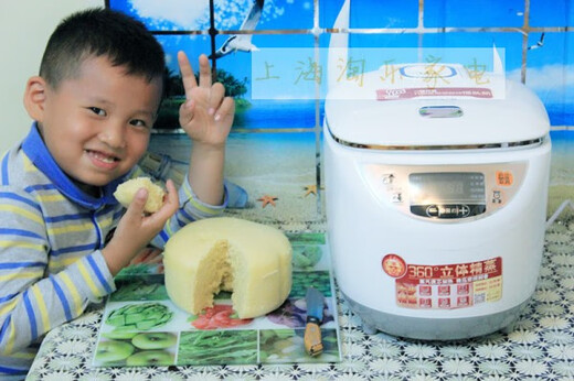 /MT-100S01/02 Steamed bun machine for household fully automatic cake fermentation and handmade pastry