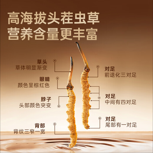 阿依舍野生冬虫夏草1克4根西藏那曲虫草补品尝鲜装自用家庭滋补