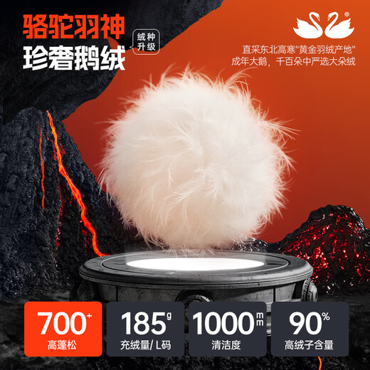 Camel Volcano PRO goose down jacket Dilireba same style men's and women's down jacket thickened hooded jacket M35CR07101