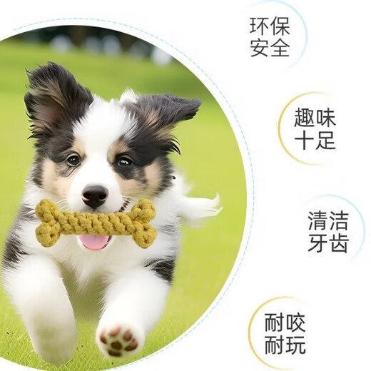 Dog Toy Resistant to Bite and Molar Teeth Cleaning Set Cotton Rope Braided Ball Interactive Training Screaming Chicken Dog Supplies Collection Dog Relief Six-piece Set - Popular Style - Random Colors