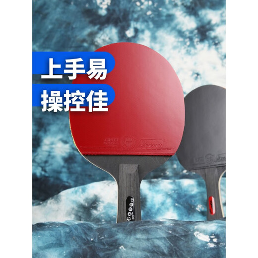凯斯汀CnsTT乒乓球拍专业手工拍刀锋战士6629操控佳易上手直横拍 长柄横拍 贴好发货送配件