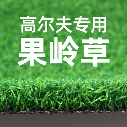 Golf artificial green grass special lawn indoor and outdoor simulated lawn gate court practice turf curved grass 1.0cm dark green green grass extra dense thickening 1 square meter