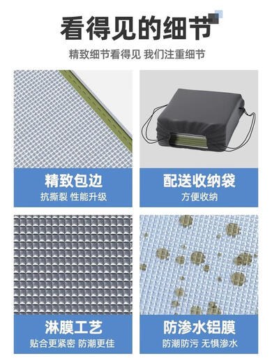 DUTRIEUX Decath Agricultural Mat Thick Outdoor Picnic Mat Camping Tent Sleeping Mat Home Door Floor Extra Thick 11150*200cm+ Storage Bag