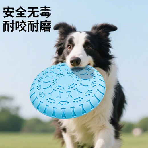 Zanpet Dog Toy Training Frisbee Blue Pet Puppy Resistant Tooth Molar Artifact Border Collie Bichon Golden Retriever Corgi Large Dog