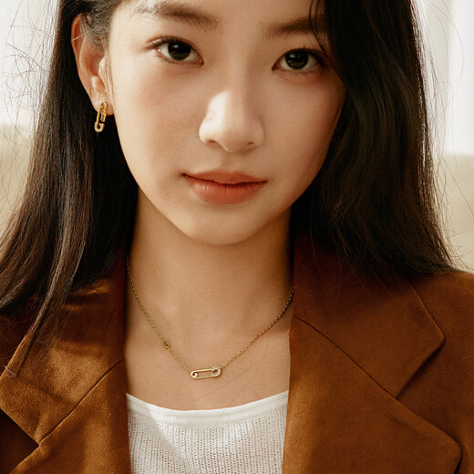Davena small pin lucky brooch necklace women's light luxury clavicle chain birthday gift for girlfriend gold 40cm 1 piece