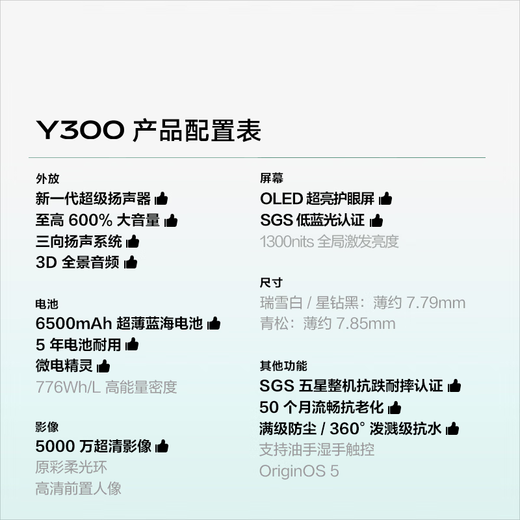 Vivo Y300 12GB+256GB Qingsong new generation super speaker 6500mAh ultra-thin blue ocean battery super anti-fall eye protection straight screen mobile phone JD Express