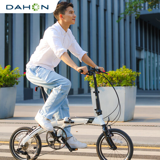 
DAHON Big Line 16-inch Mini Ultra Light 9 Speed ​​Folding Bicycle Student Adult Men and Women Cycling PAA693 AIR Cloud (White) 16-inch 16-inch
