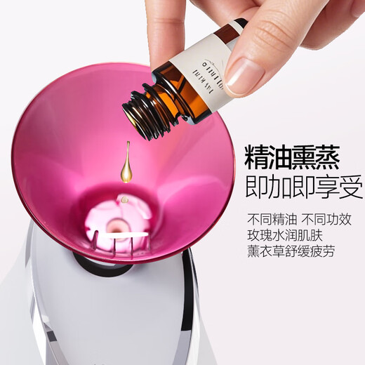 Golden Rice Facial Steamer Beauty Instrument Hot Spray Nano Humidifier Hydrating Device Facial Mask Partner Facial Steamer Hot Spray Facial Steamer Birthday Gift KD2331A Rose Red + Aromatherapy Essential Oil