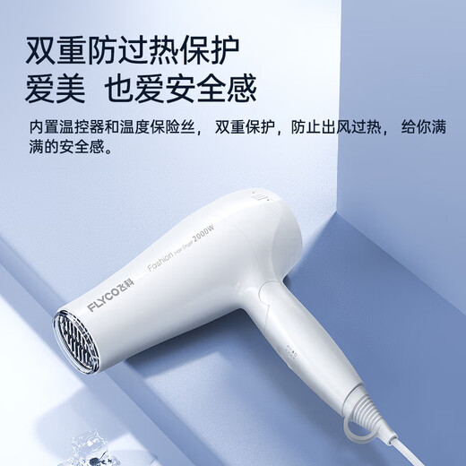 飞科（FLYCO）电吹风机家用大功率负离子吹风筒护发不伤发大风力速干轻小巧便携专业沙龙吹风 【2000W大功率 可折叠】FH6232