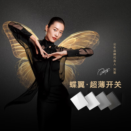 Bull switch socket G57 butterfly wing ultra-thin two-open single control switch large panel switch G57K211 twilight snow white concealed installation