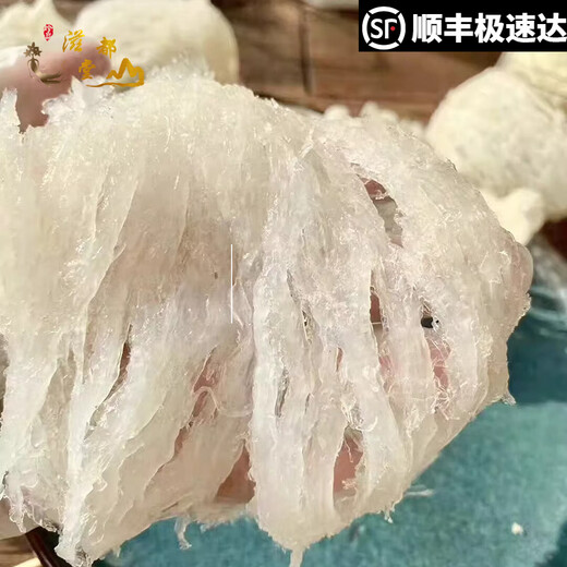 滋都堂正品燕窝大疏盏 孕妇营养8A6A品质干盏大燕条干货三角盏自用礼盒 10A大盏条 足干250克 半斤装