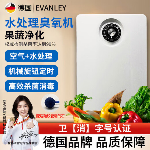EVANLEY German ozone generator disinfection machine household air purifier water treatment efficient sterilization and disinfection deodorization and odor drinking water fruit and vegetable cleaning to remove pesticide residues 2000mg water treatment model-12 liters