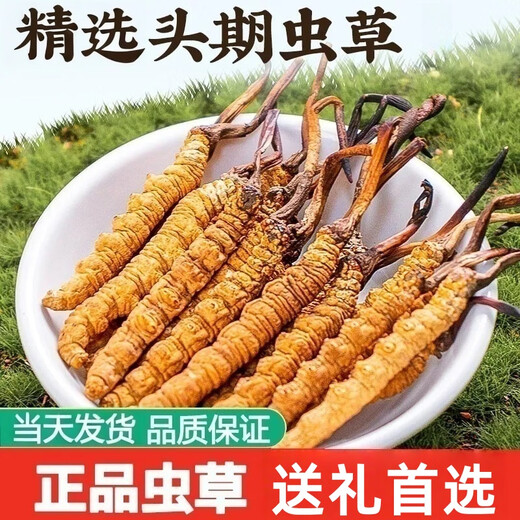 La caja de regalo de Luzhangtang Cordyceps es auténtica calidad de regalo de regalo de Regalo Cordyceps de montaña tibetana garantizada el mismo día. Tíbet naqu Cordyceps 3 piezas 1 gramo 20 piezas