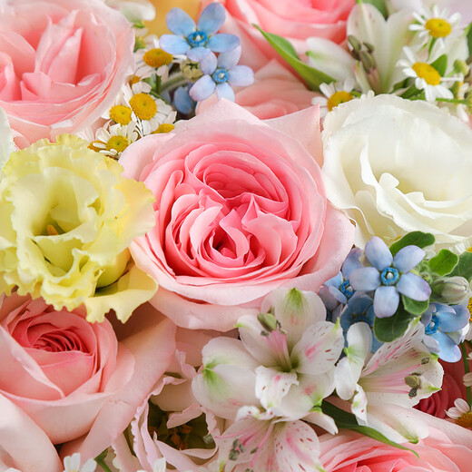 Airi Flowers 99 roses for girlfriend, birthday flowers for wife, date flowers, proposal, confession gift, flower shop delivery, pink lychee and platycodon mix and match small fragrant bouquet