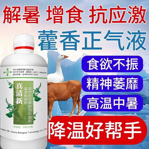Huoxiang Zhengqi Aquatic Veterinary Liquid for Chickens, Ducks, Cattle, Sheep, Pigs and Dogs to Prevent Stress and Heatstroke, Cooling, Clearing and Detoxifying Oral Liquid, Three Bottles, Buy Two Get One Free