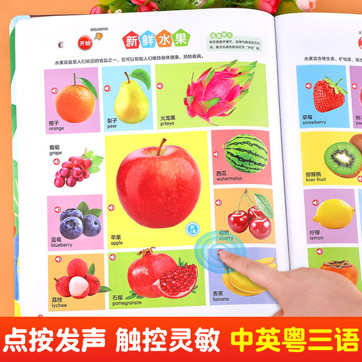 会说话的早教有声书0到3-6-7岁幼儿点读机中文英粤语学习机撕不烂宝宝学说话书本启蒙手指点读发声书1一2有声绘本儿童读物孩悦时光 【全2册】会说话的早教有声书+语言启蒙发声书