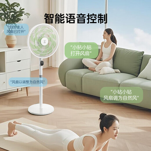 DIAMOND first-class energy efficiency electric fan household floor fan DC variable frequency fan energy-saving electric fan shaking head air circulation fan large air volume living room bedroom light-sound vertical fan SN AI voice + remote control model first-class energy efficiency丨12H timing丨24 wind speeds