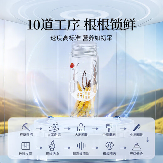 
Tongrentang brand Fresh Cordyceps sinensis about 0.81-1.0g/root 30 pieces of Qinghai source straight