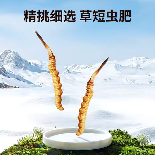 同芙 冬虫夏草2根/g 10g 20根礼盒装 滋补营养补品送长辈礼品礼物