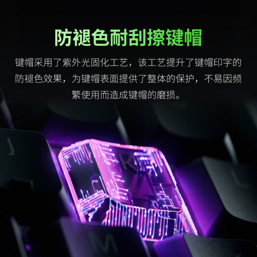 Razer Rainforest Wolf Spider Symphony Edition RGB light mechanical wired gaming keyboard v3x black (medium and low keycaps Thundercloud 3 chicken keyboard) Rainforest Wolf Spider V3X