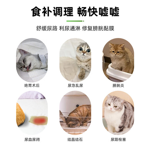 Pet handsome cat urinary tract prescription food cat cystitis urinary tract fluid dilution postoperative care full price nutritional formula staple food 1kg cat urinary food 1kg