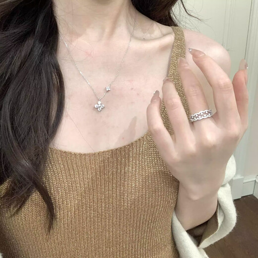 Lucky four-leaf clover necklace women's summer light luxury niche design high-end small flower clavicle chain hot style choker four-leaf clover necklace