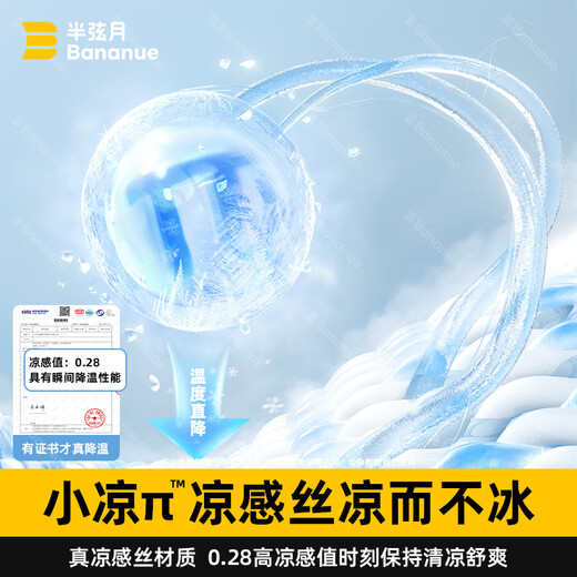 BANANUE【2025年小凉π】冰丝凉席子可机洗床笠床垫床单宿舍1.5mx1.8x2米 雪花灰丨冰丝凉感丨可机洗加厚款 200cm*220cm 丨床单款丨贈枕套*2