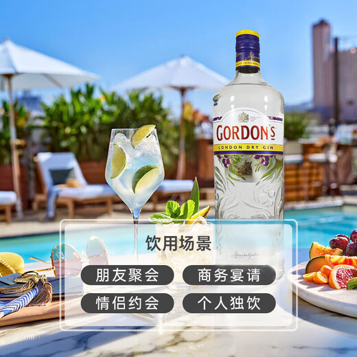 哥顿（Gordon’s） 洋酒 金酒 杜松子酒 琴酒 1000ml 43度