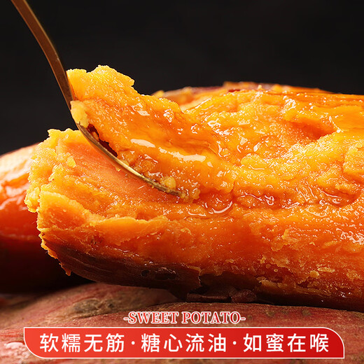 春福乐红薯【源头直发】山东烟薯25号番薯糖心红薯当季新鲜蔬菜副食现挖 5斤果农严选【糖心流油】净重4.5斤