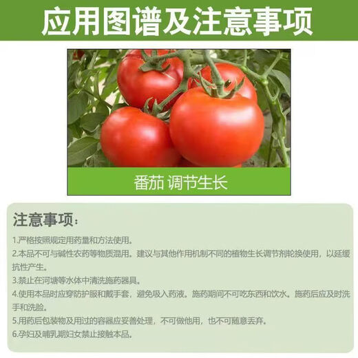Benzyl aminoalkanol rice wheat barley tomato special vegetable expansion fruit growth regulator 10% content 100g * 1 bottle