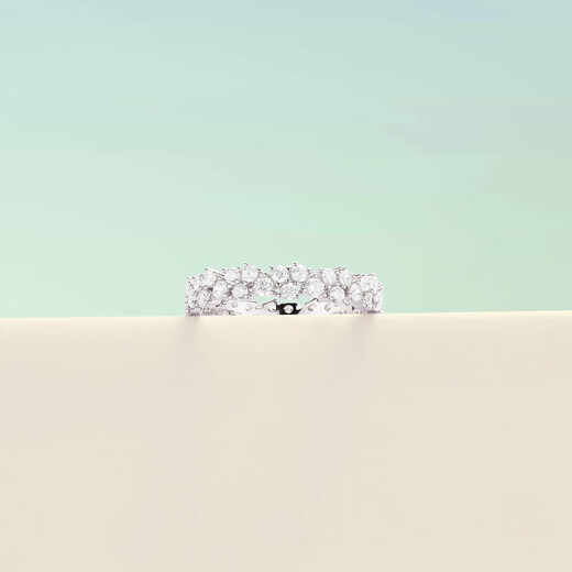 APM Monaco pavé wheat ear ring, exquisite ring, birthday gift for girlfriend and best friend, couple ring gift, silver white 54 (No. 14)