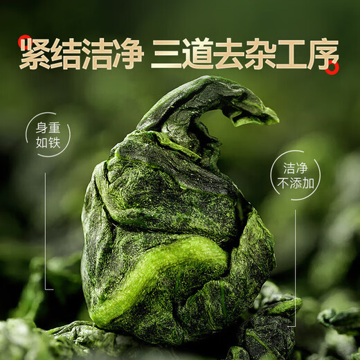 Tieguanyin neuer Tee authentisch Fujian Anxi Oolong Tee reichhaltig und duftender Duft authentisch kons