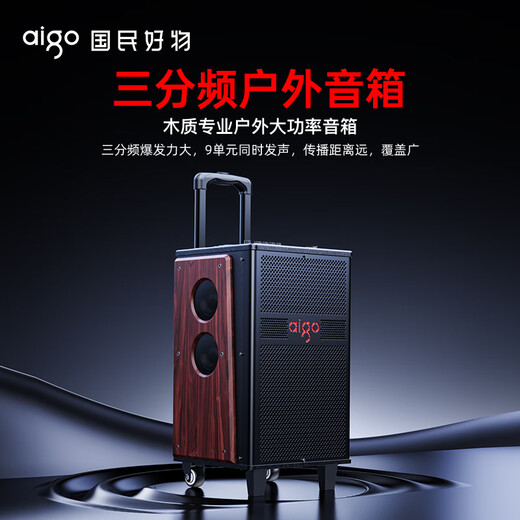 Patriot S610 10-inch heavy bass stage outdoor mobile speaker ktv audio square dance audio camping electric acoustic guitar folk instrument speaker double microphone version