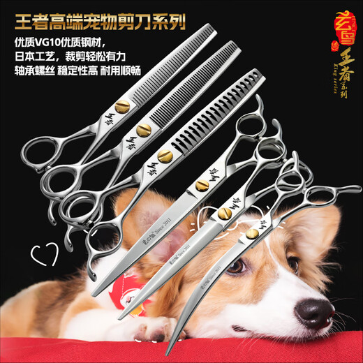 Black Bird King series pet scissors, straight cut, curved scissors, dental scissors, fish bone scissors, fluffy scissors, high-end scissors for beauticians, dental scissors 7 inches