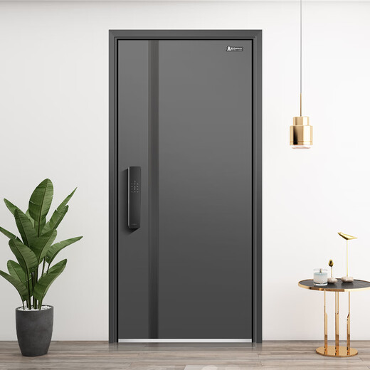 王力高端家用防盗门隐藏式门楣+航空铝箔填充+一门到顶+智能门锁进户门入户门大门A102【3.0不夹手智能门】