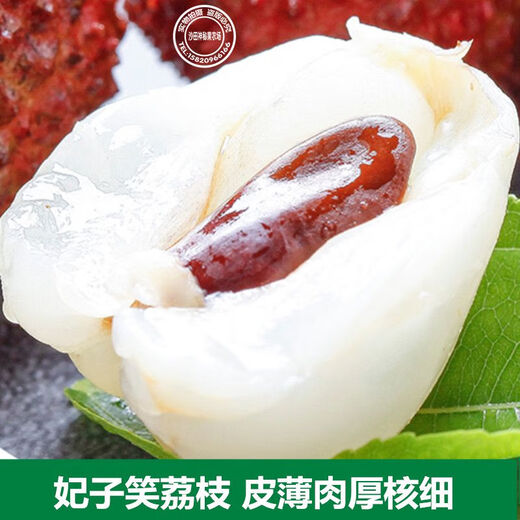 荔枝树苗桂味肉脆甜糯米糍荔枝多肉软滑带土带叶东莞14年老店 5年半苗桂味659 15cm以下
