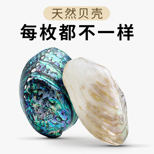 Wenzhi Abao Natural Shell Cabinet Türgriffe Europäische leichte Luxusschubladenschrank moderne einfache Hochtürgarderobe Messinghandle GBT12188C Abalone Shell Single Loch 25 mm eins