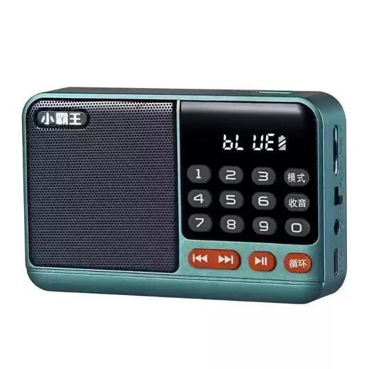 Radio Bluetooth audio player plug-in card small audio radio can be inserted into the card into the U disk into the earphones old man radio Bluetooth radio dark blue hot model (host + data cable + battery)