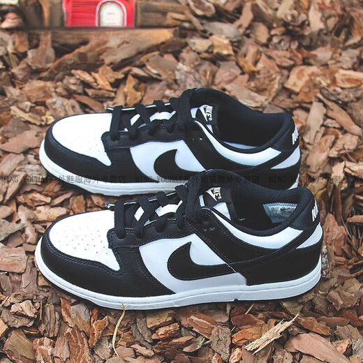 耐克（NIKE）DunkLow