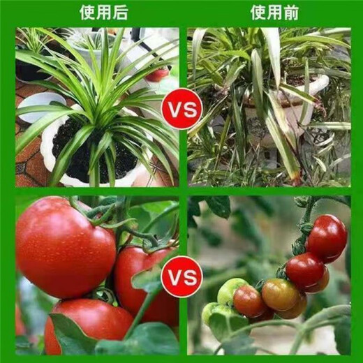 Potassium sulfate agricultural potash fertilizer water-soluble crystal instant foliar fertilizer water-soluble potassium fertilizer for fruit trees and vegetables crystal shape - original packaging shipped 25 kg/original express delivery to villages and towns